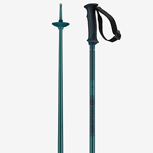 Salomon Stöcke Arctic Unisex Skitouren 110cm