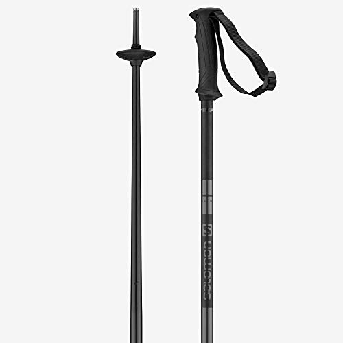 Salomon Stöcke Arctic Unisex Skitouren 115cm