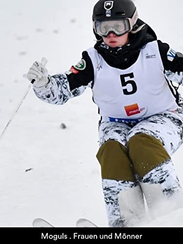 Ski Freestyle: FIS Weltcup in Idre (SWE)