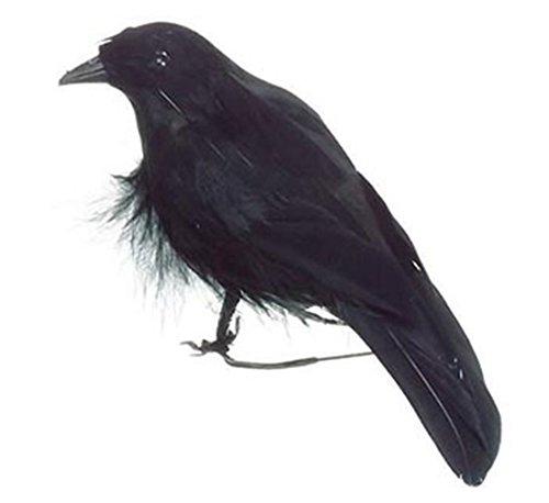Artificial 4-3/4' Black Feather Crows (6 pack) by...
